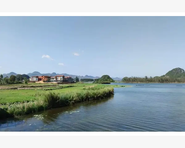 吃橙子能否止咳化痰？中医视角解析